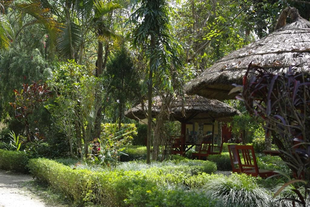 Un jardín con construcciones de techo de paja y asientos.
