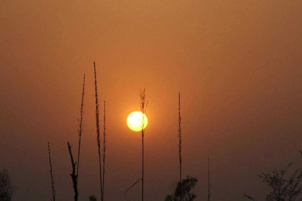 منوع