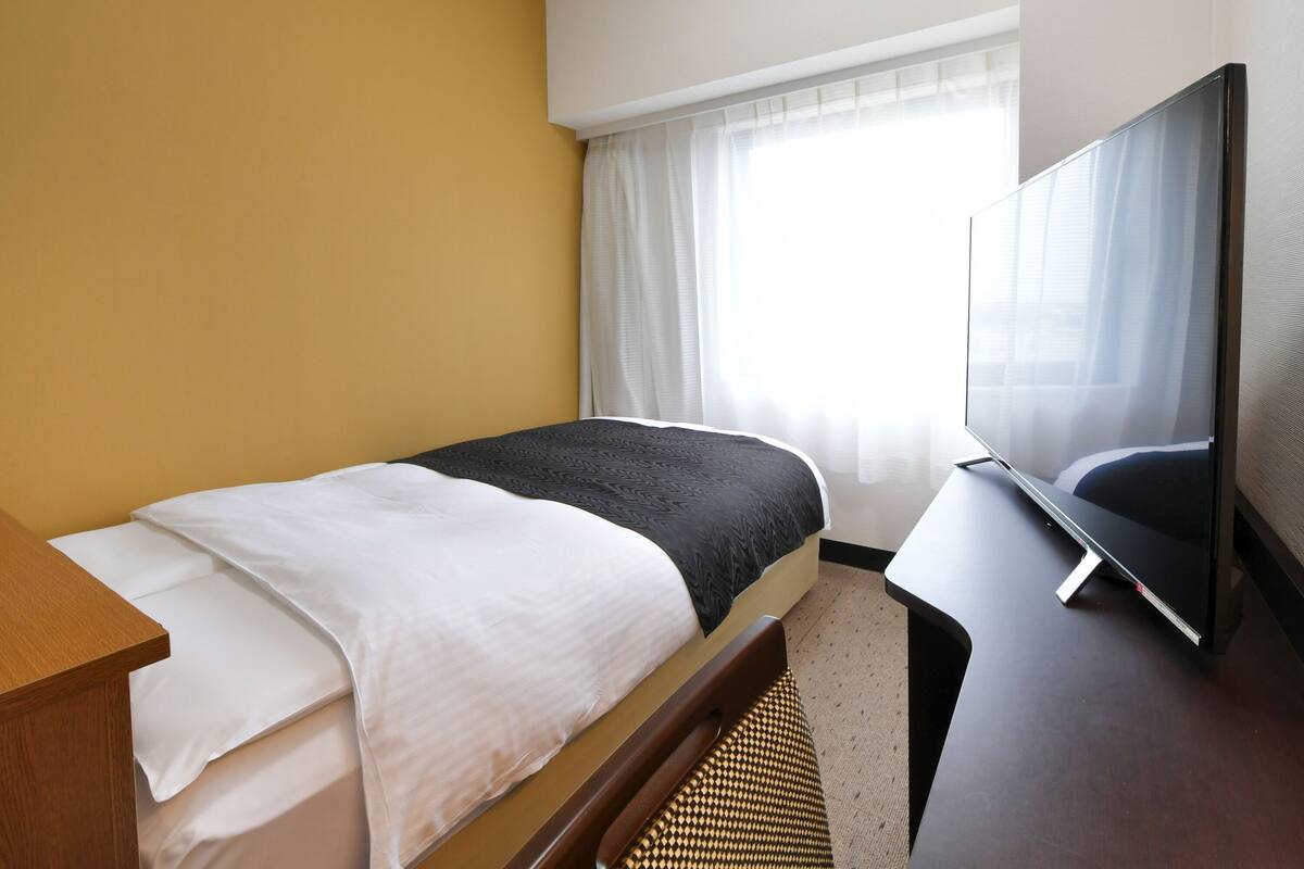 Une chambre d’hôtel avec un lit, une télévision et une fenêtre avec des rideaux.