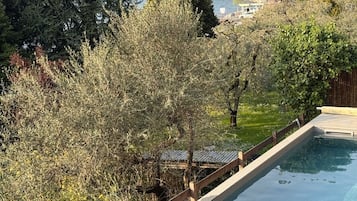 Una piscina al aire libre, sillones reclinables de piscina