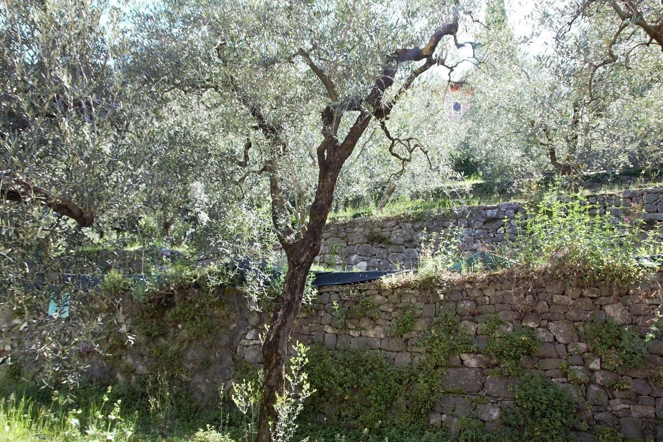 Eine Steinsäule mit einem Baum im Vordergrund und einem Gebäude im Hintergrund.