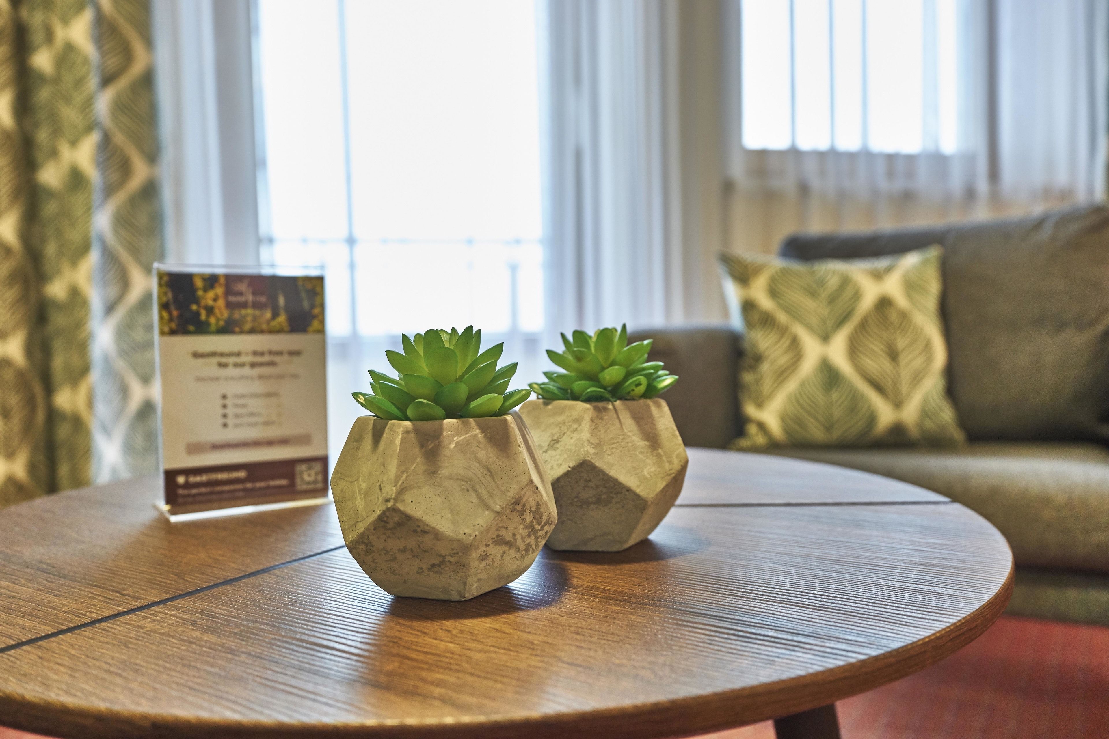 Two hexagonal planters with succulents on a wooden table, a sign with text, and a couch with patterned cushions in the background.