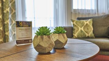 Two hexagonal planters with succulents on a wooden table, a sign with text, and a couch with patterned cushions in the background.