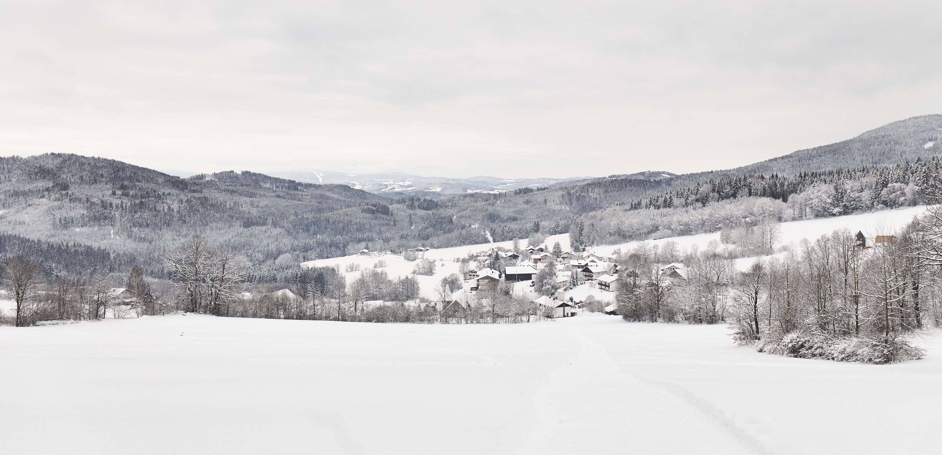 A snow-covered village with houses and trees, surrounded by mountains.