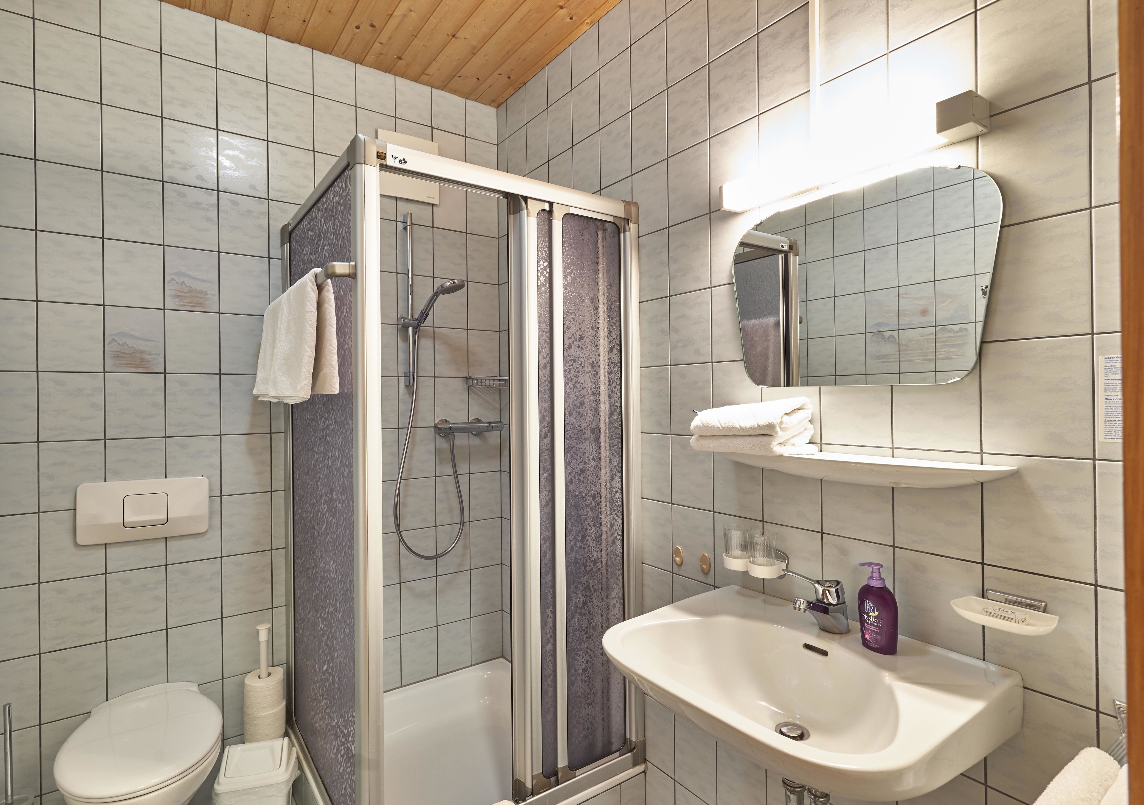 Ein Badezimmer mit Dusche, Toilette, Waschbecken und Spiegel.