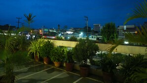 Un toit-terrasse agrémenté de plantes en pot, offrant une vue sur le paysage urbain au crépuscule.