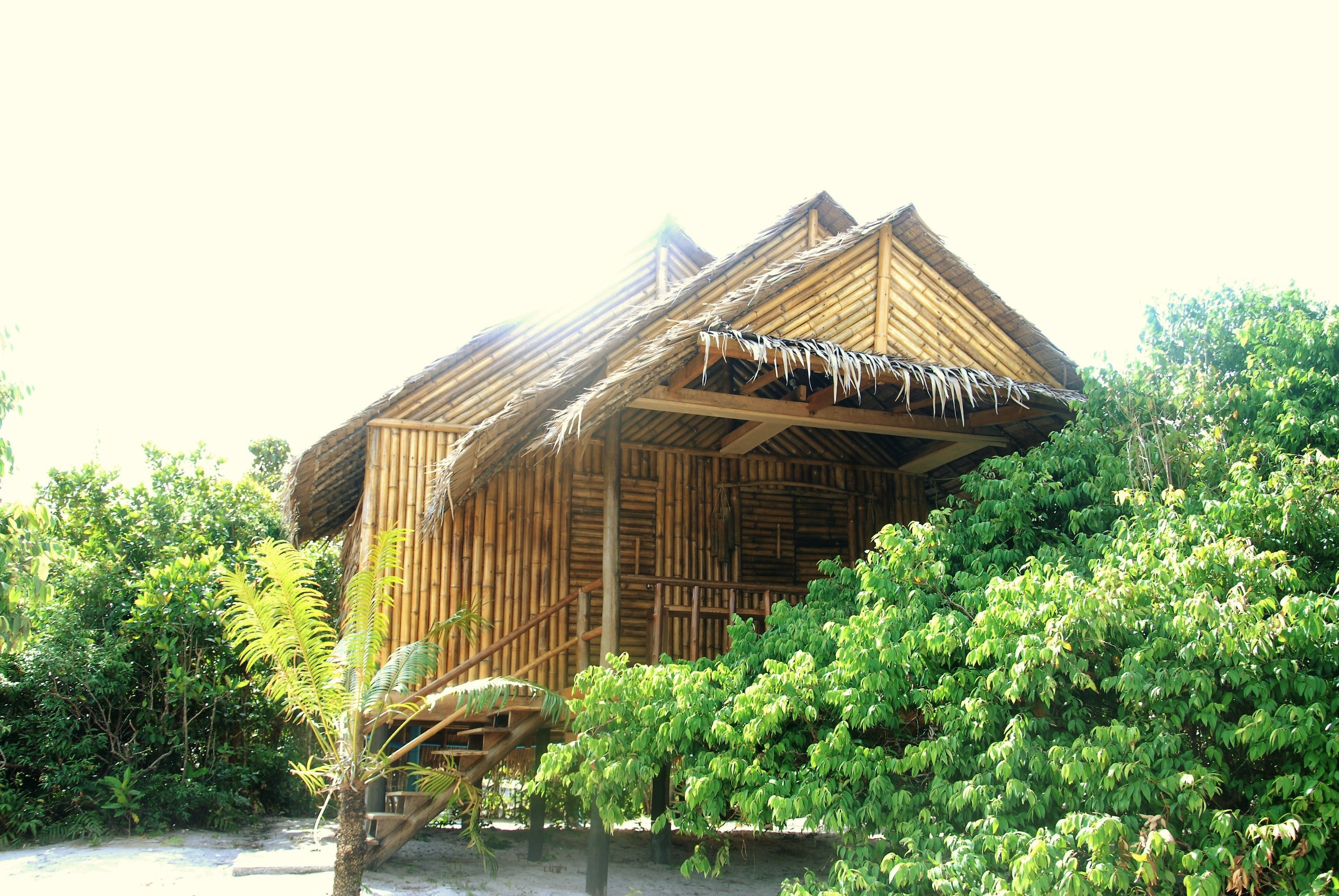 A bamboo hut with a thatched roof, surrounded by lush greenery.