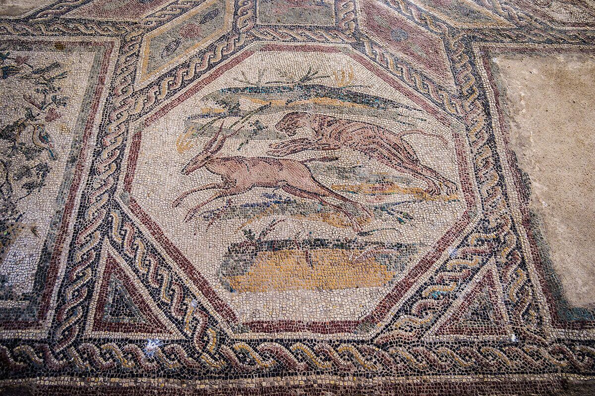Une mosaïque détaillée, ornée de motifs géométriques et comportant une figure centrale.