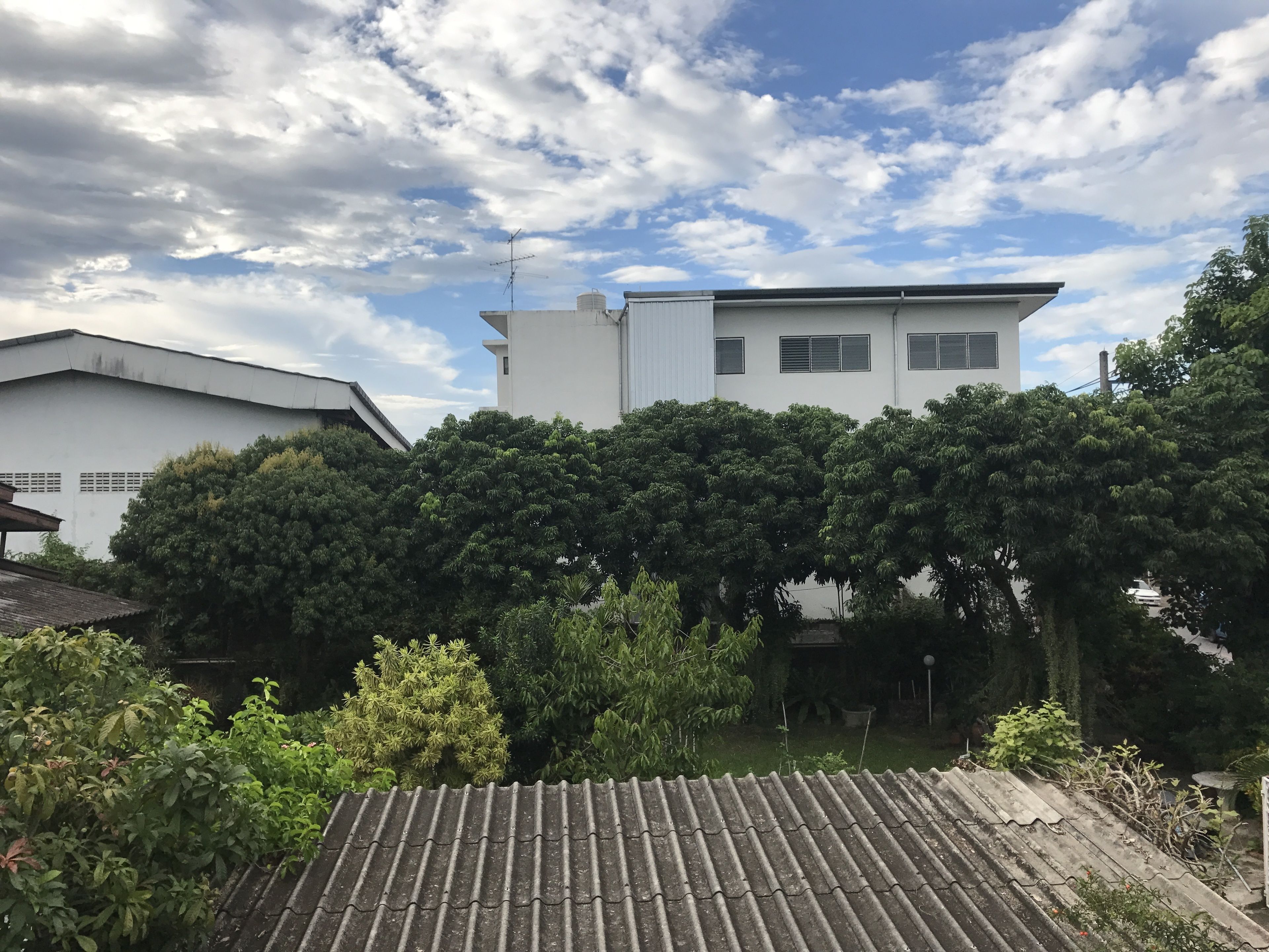 A residential area with a white building, a tiled roof, and lush greenery.