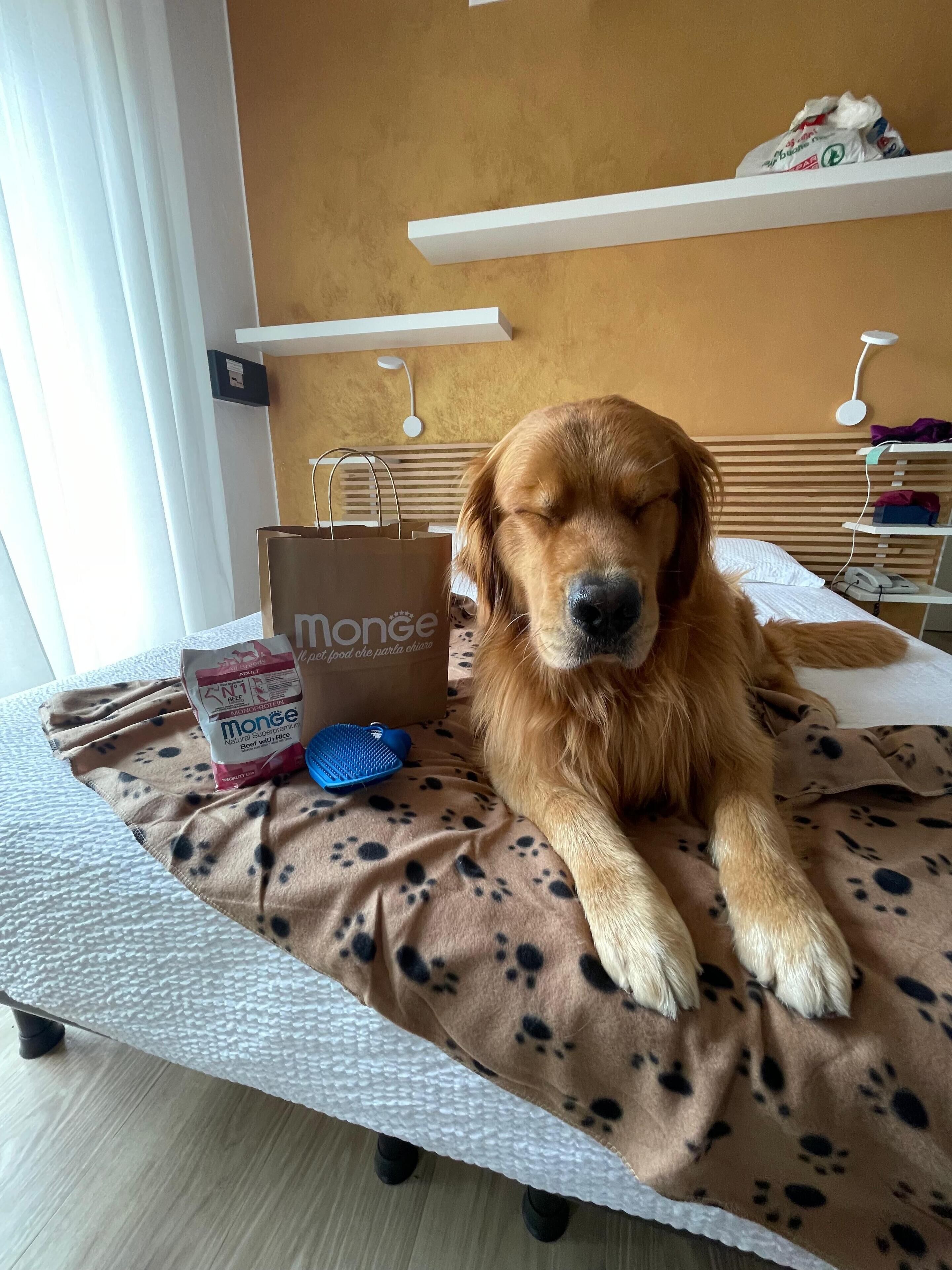 Haustierfreundliche Ausstattung