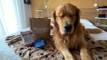 Haustierfreundliche Ausstattung