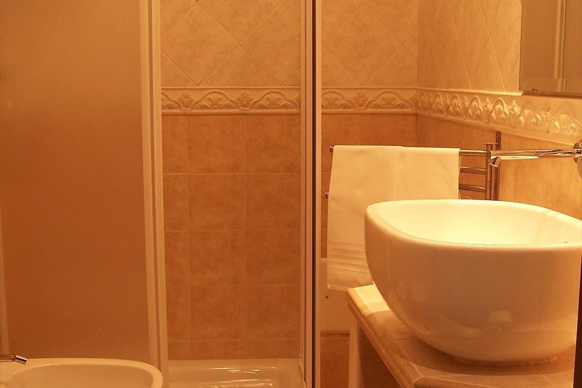 double or twin room | bathroom | shower, free toiletries, hair dryer, bidet