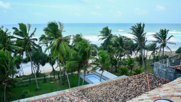 A view of a beach with palm trees and a swimming pool.