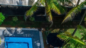An aerial view of a rectangular swimming pool with clear blue water, surrounded by palm trees and a small garden area with a few lounge chairs and umbrellas.