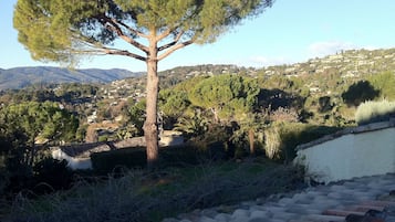 Pemandangan dari properti