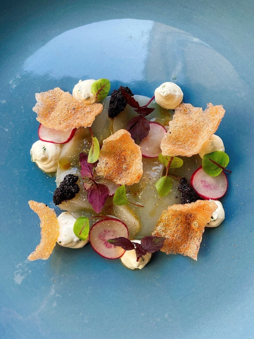 lunch and dinner served, belgian cuisine