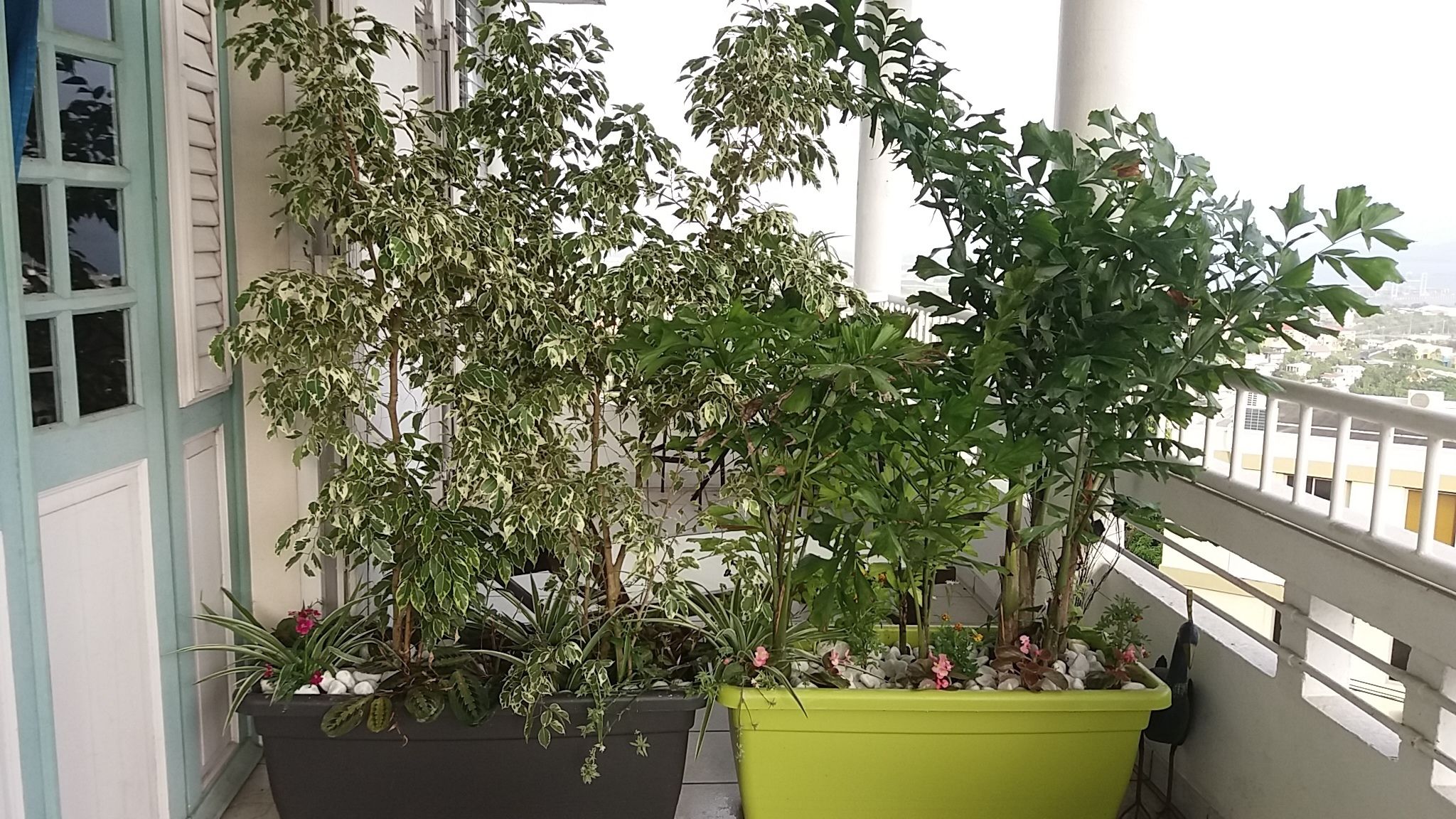 Tweepersoonskamer, uitzicht op zee | Balkon