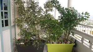 Kahden hengen huone, merinäköala | Parveke