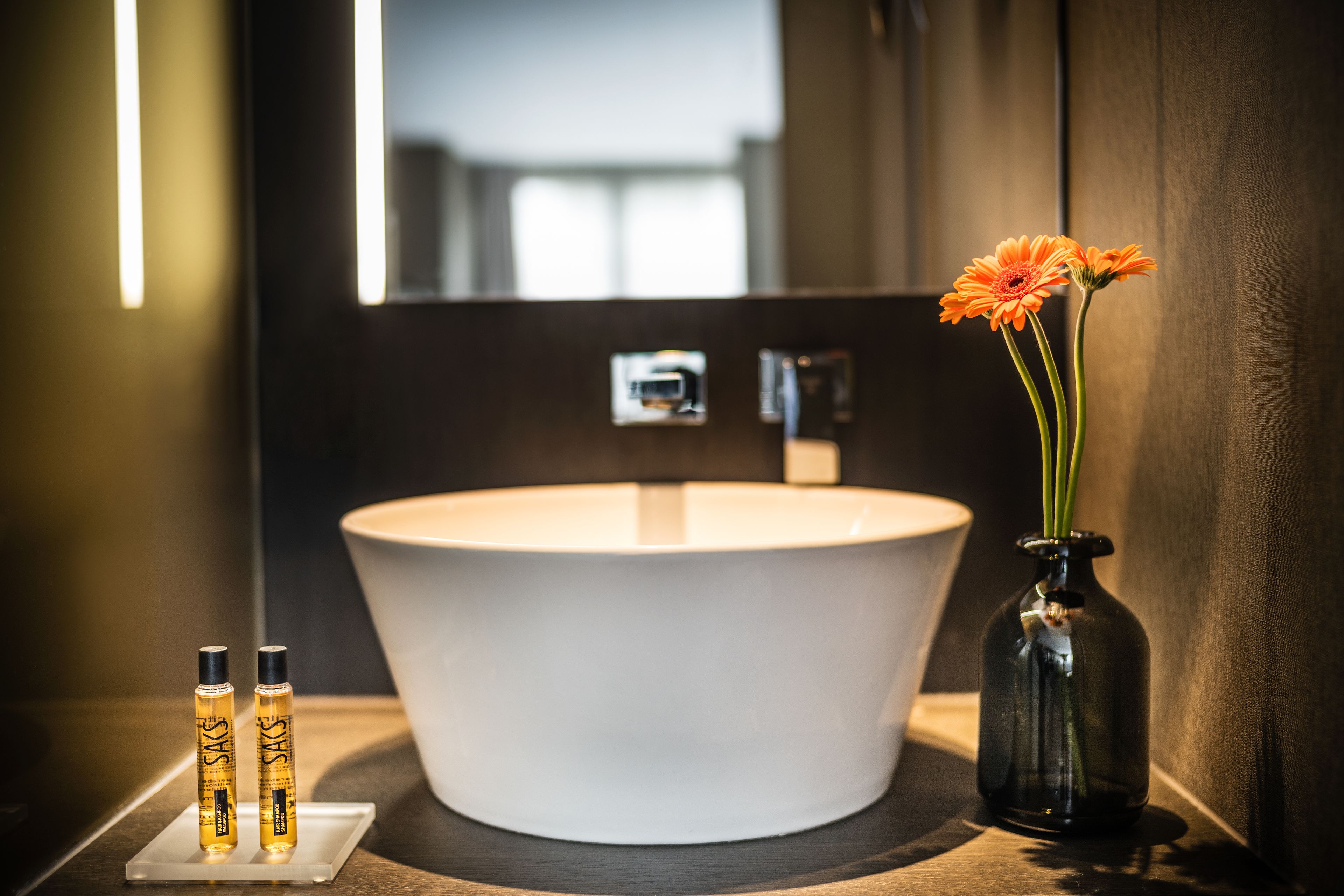 standard room (queen) | bathroom sink