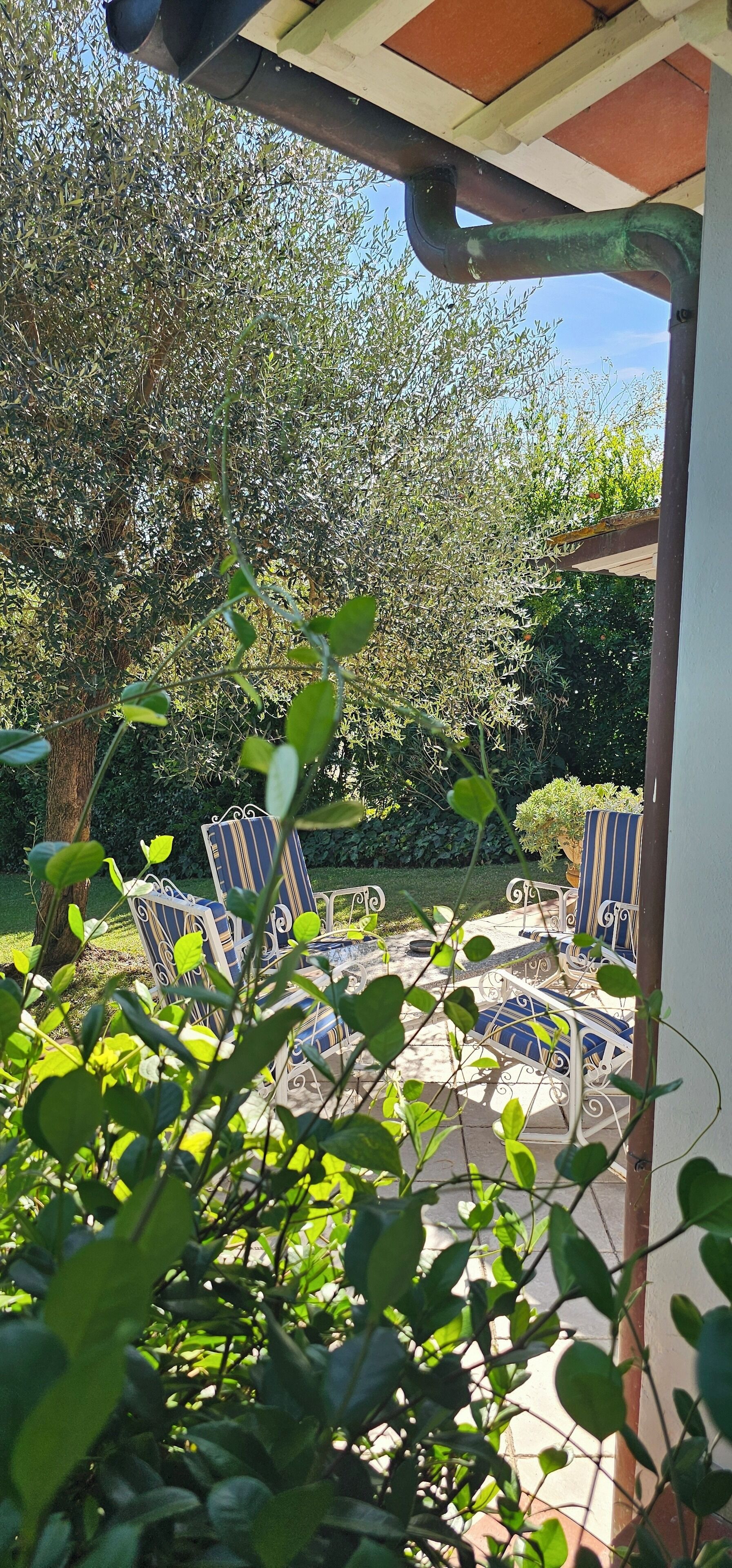 Eine Terrasse mit Gartenmöbeln und Blick auf einen Garten.