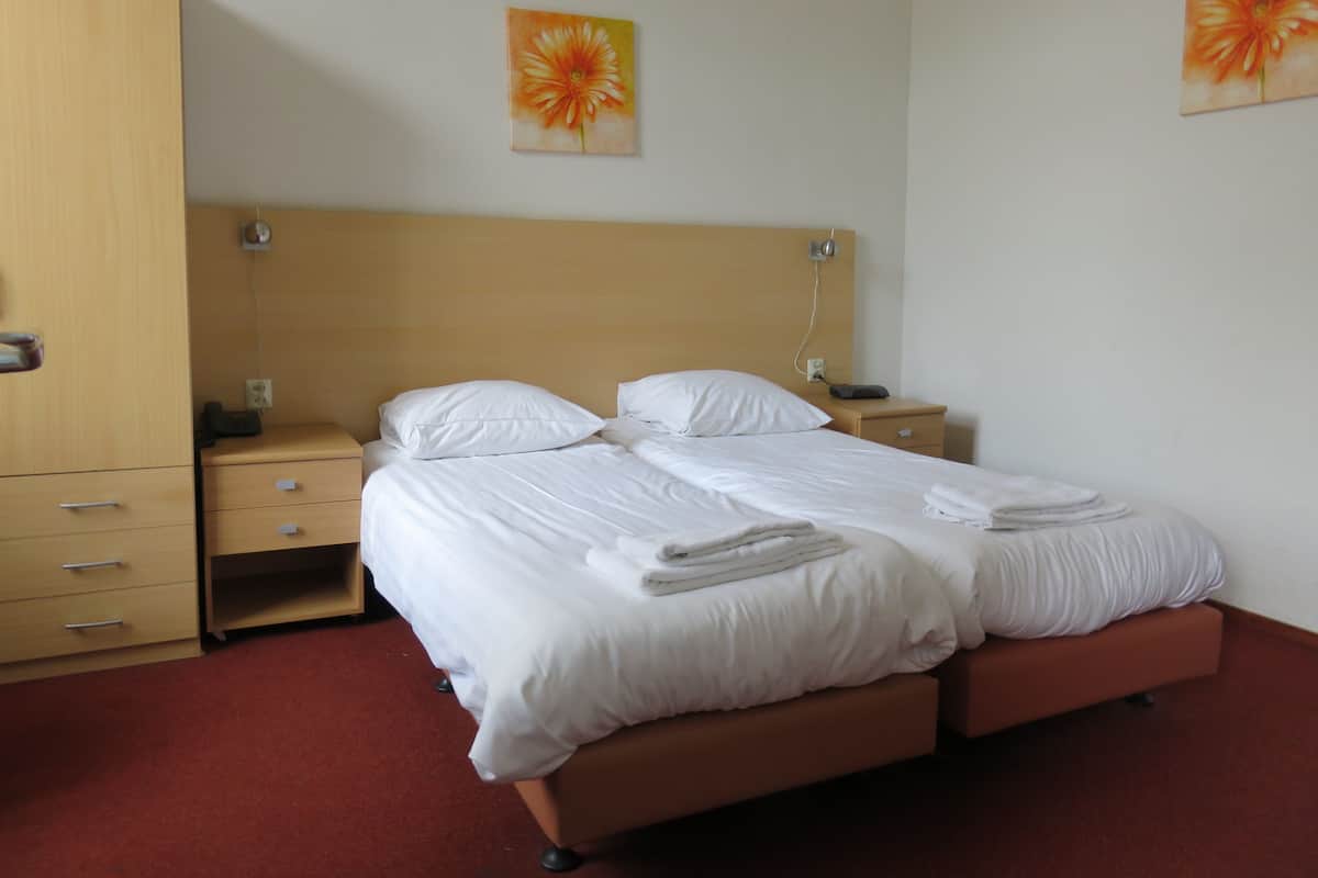 Twin Room | Desk, iron/ironing board, cribs/infant beds, free WiFi