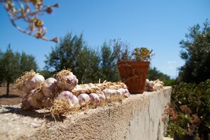 Property amenity - Casolare nelle Saline (Paceco)