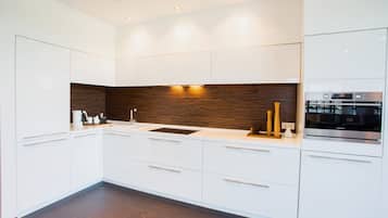 Apartment, Accessible, City View | Private kitchenette | Fridge, microwave, oven, stovetop