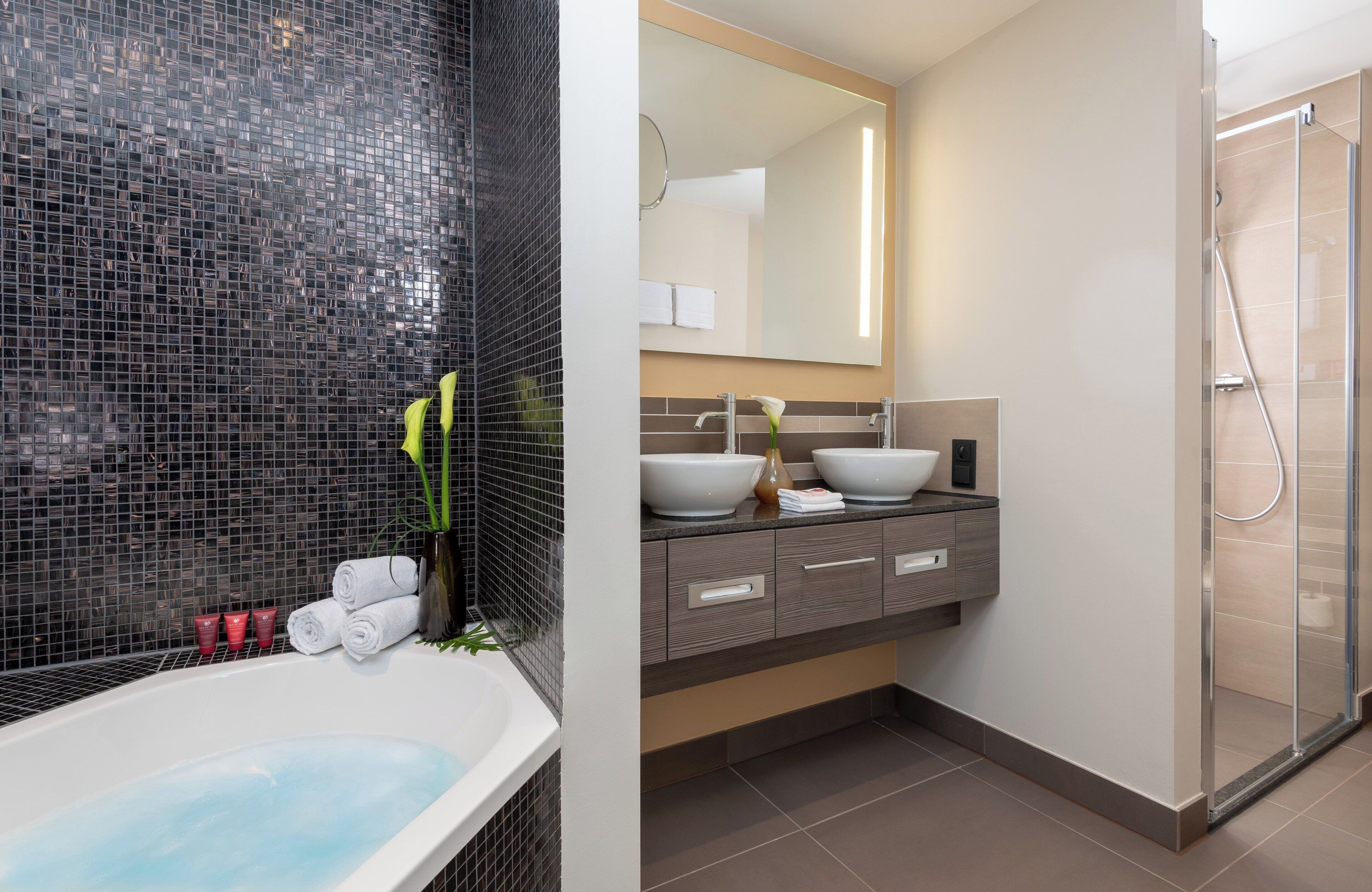 shower, free toiletries, hair dryer, towels