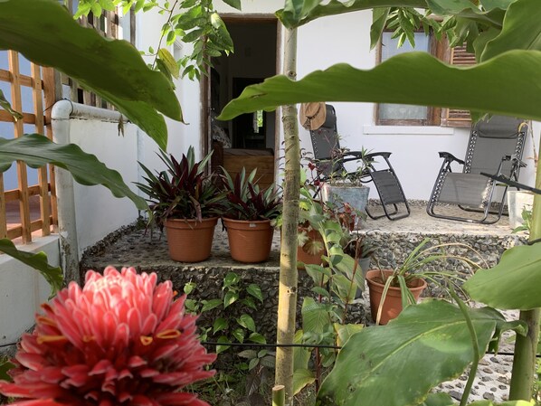 Teras/patio