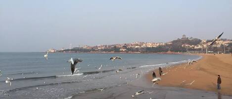 Vista desde la propiedad