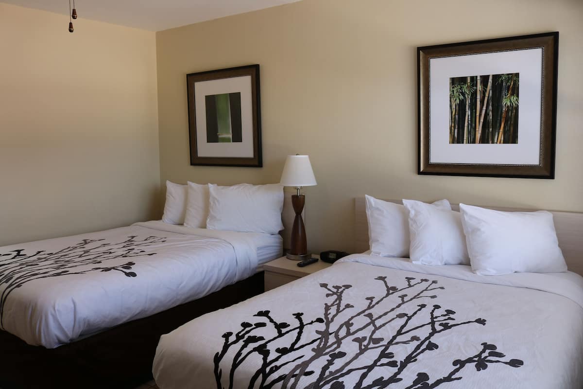 Room, 2 Double Beds, Refrigerator & Microwave, Courtyard View (1st Floor) | Down duvets, in-room safe, iron/ironing board, free WiFi
