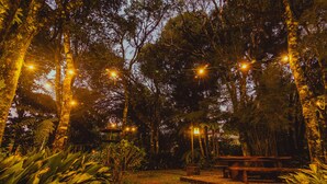 A forested area with a wooden bench and string lights. - Pousada Betânia (Gramado)