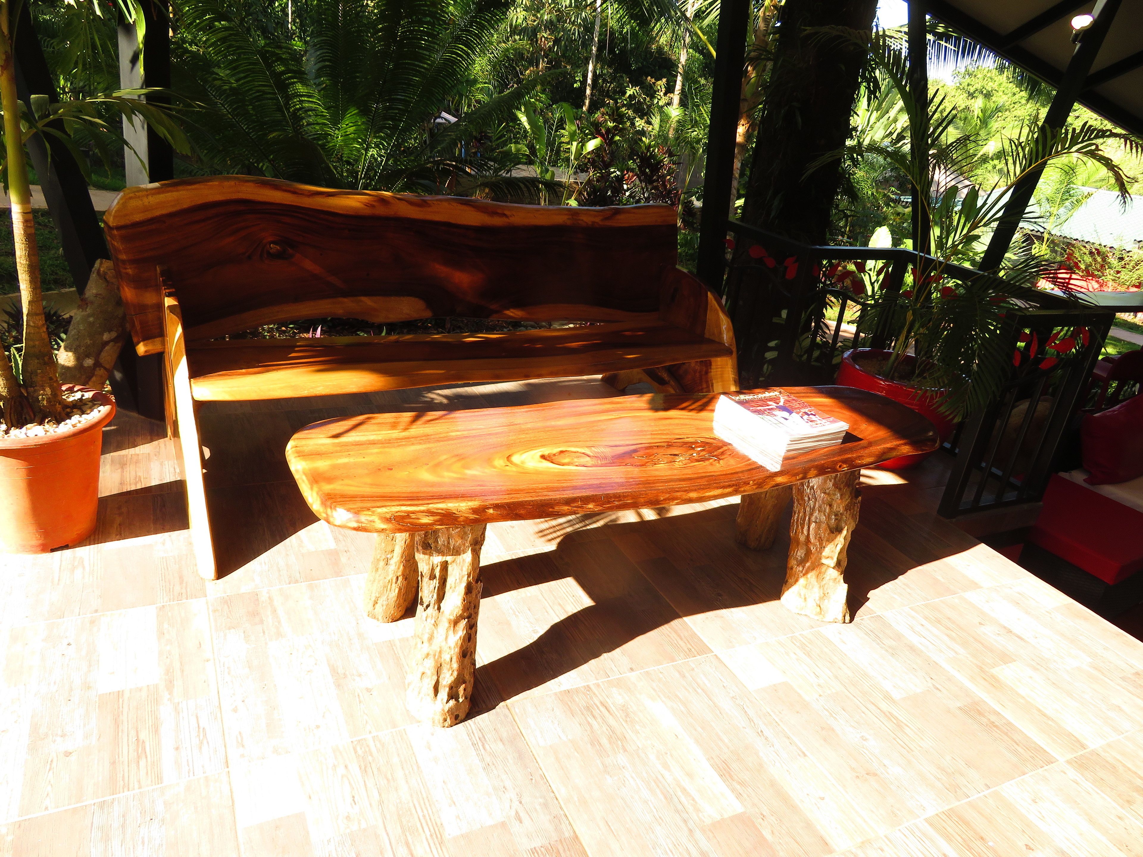 Un banc en bois sur lequel est posée une pile de livres, entouré de plantes en pot et surplombant un sol carrelé.