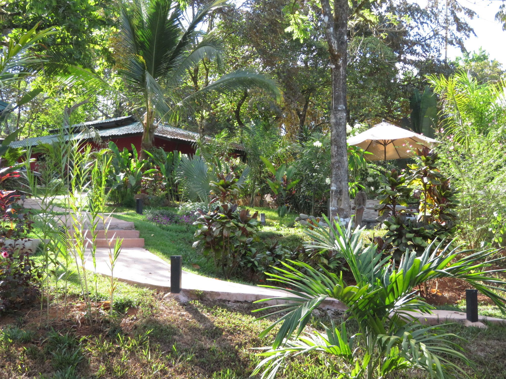A lush garden with a variety of plants and trees, a pathway, and a traditional building with a tiled roof.