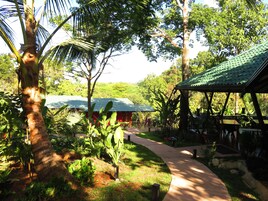 A lush garden with a pathway leading to a building with a green roof.