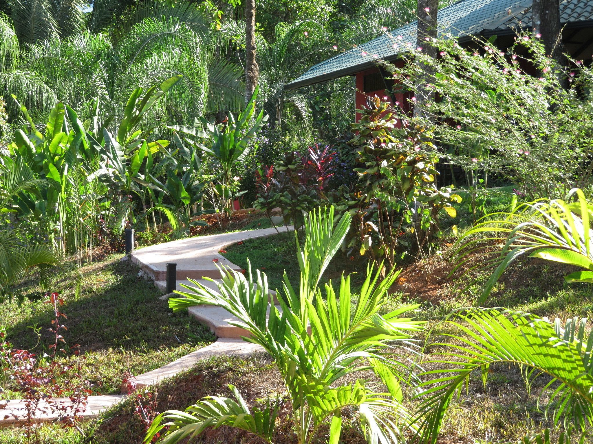 A lush garden with a variety of tropical plants and a curved pathway leading to a building with a tiled roof.