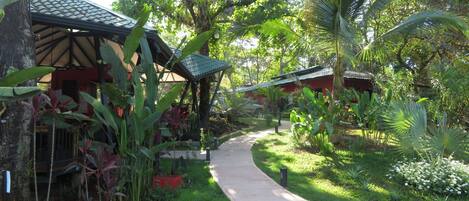 A pathway leading to a building surrounded by lush greenery and tropical plants.