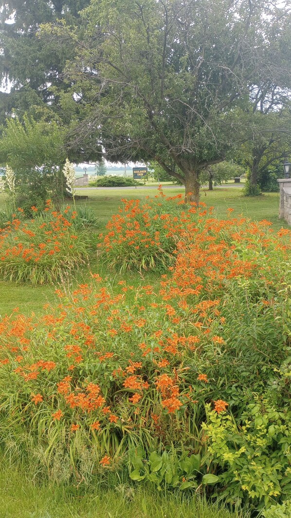 Fachada de la propiedad