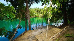 Un muelle de madera se adentra en un agua azul cristalina, rodeado de abundante vegetación y árboles.