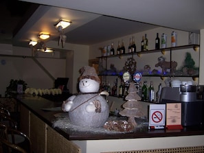 Bar (on property) - Mirniy Resort (Odesa)