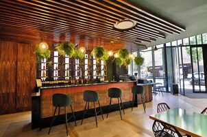 Zona de bar con techo de listones de madera, plantas colgantes y taburetes de bar.