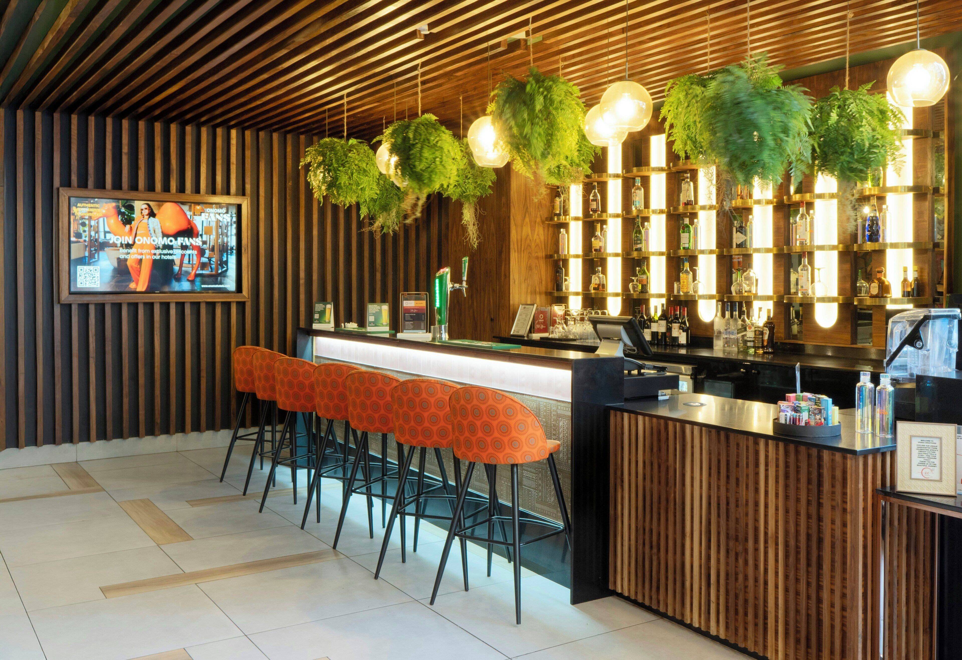 Zona de bar con techo de madera, plantas colgantes y mostrador con taburetes.