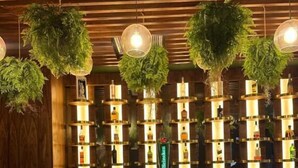 A bar area with a wooden ceiling, hanging plants, and a display of liquor bottles. - ONOMO Hotel Johannesburg Sandton (Sandton)