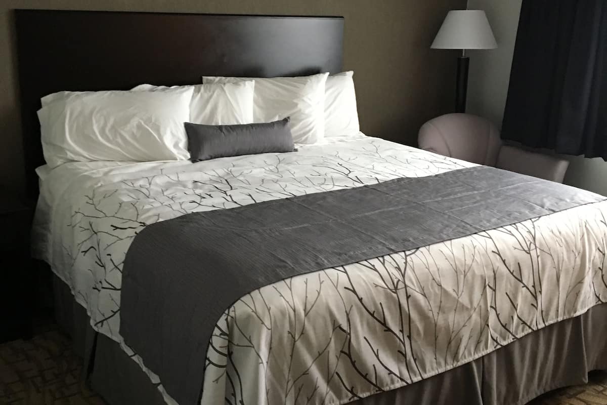 Desk, iron/ironing board, rollaway beds (surcharge), WiFi (free)