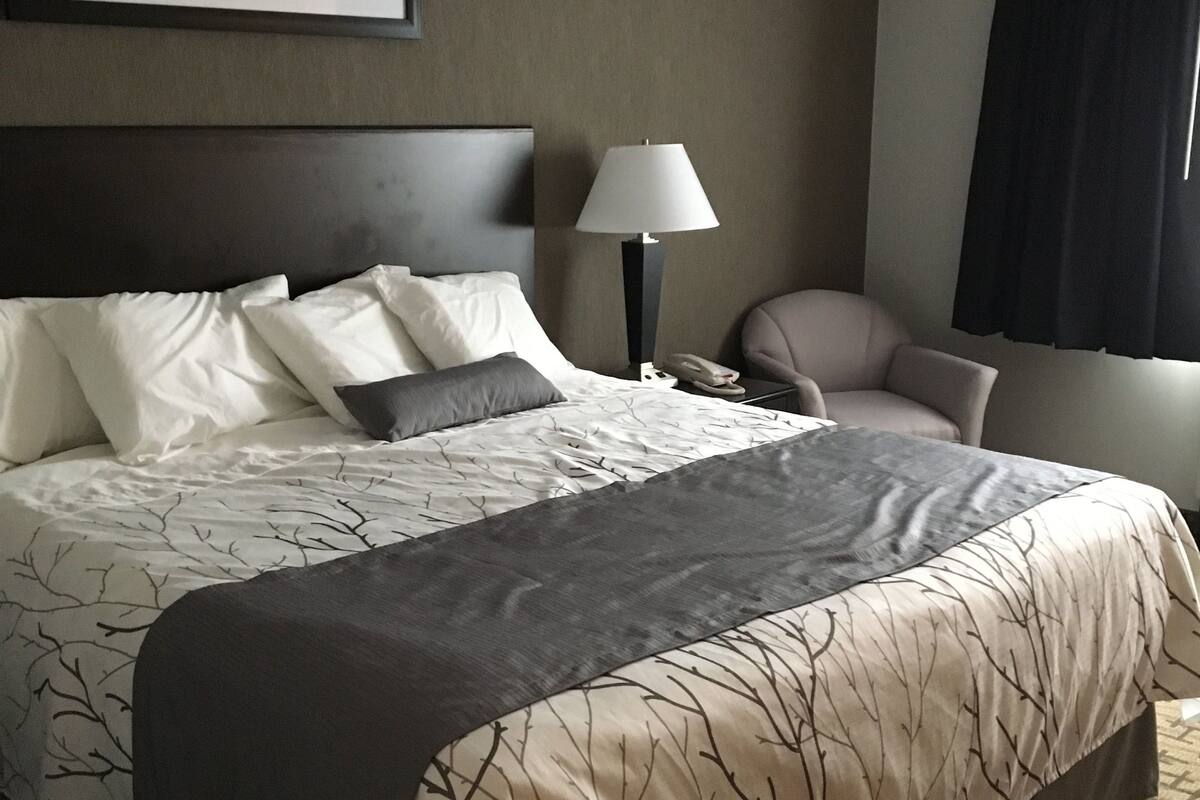 Deluxe Room, 1 King Bed, Smoking | Desk, iron/ironing board, rollaway beds (surcharge), WiFi (free)