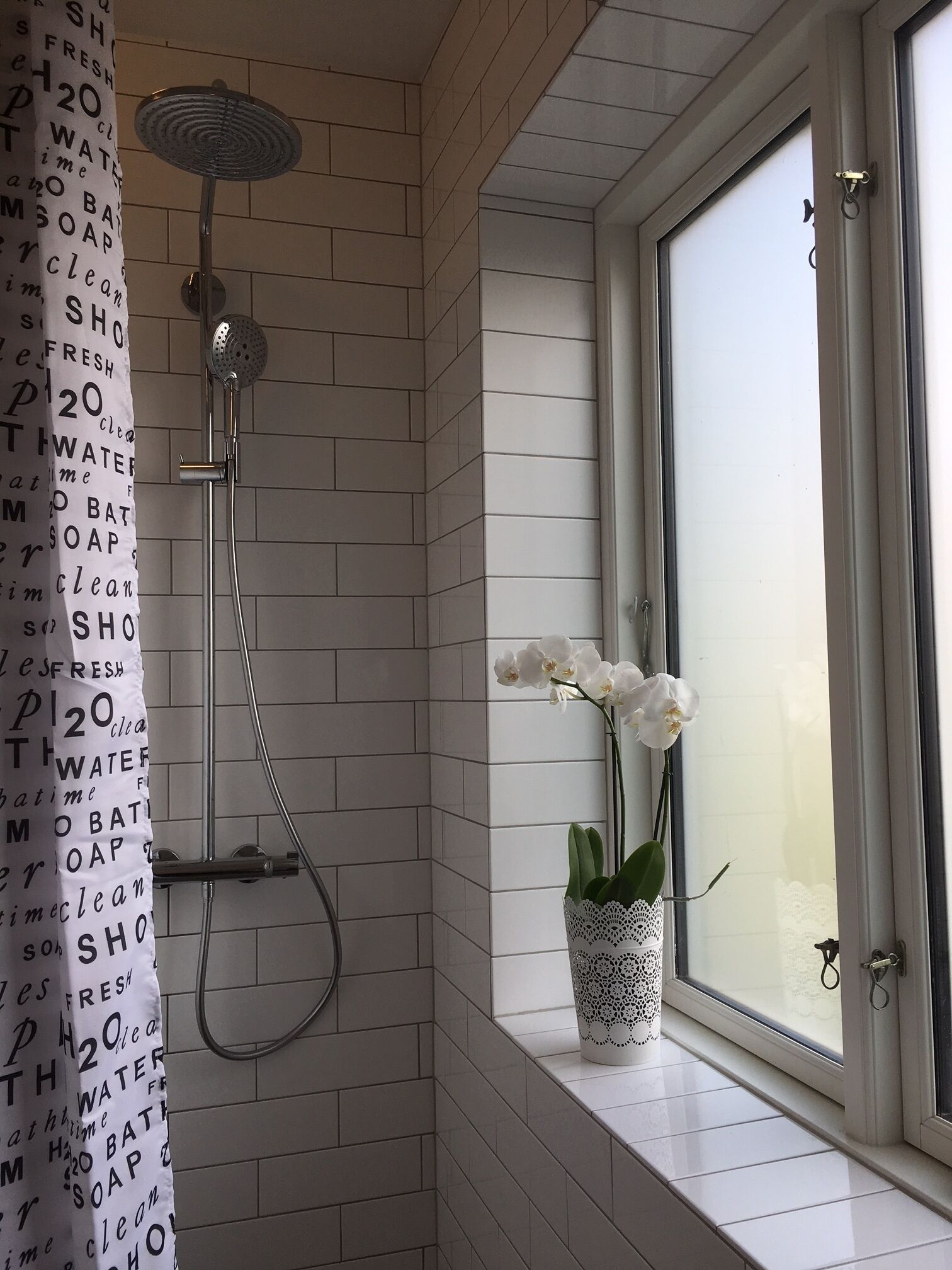 Shower, hair dryer, toilet paper