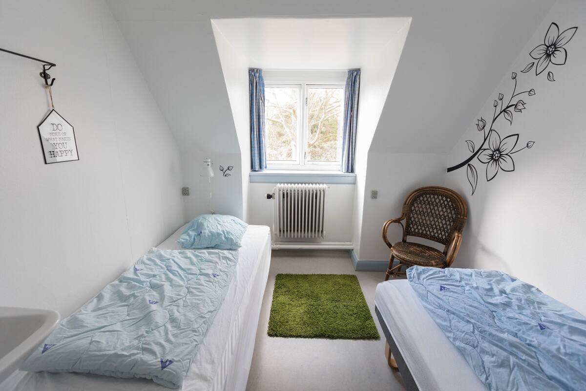 Ein Schlafzimmer mit zwei Einzelbetten, einem grünen Teppich, einem Heizkörper, einem Fenster mit Vorhängen, einem Sessel und einer Wanddekoration.