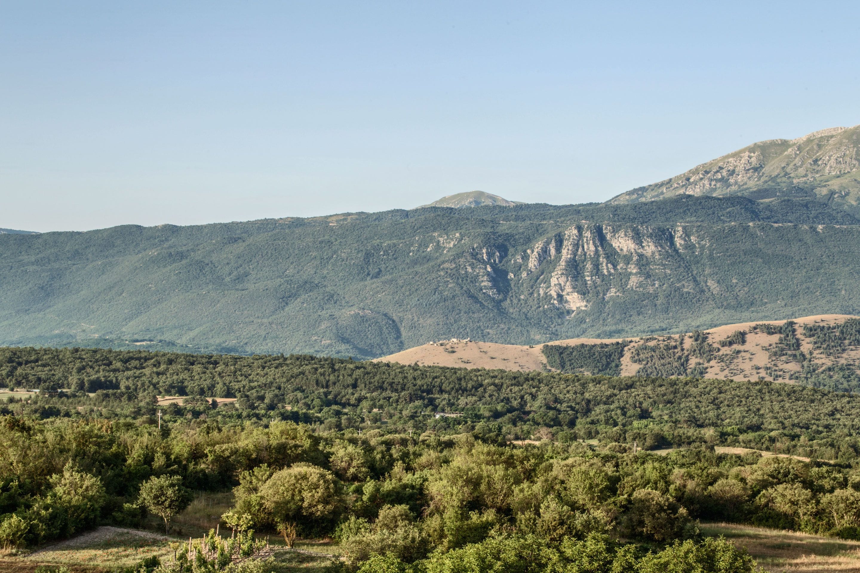A mountainous landscape with dense forest and rocky cliffs.