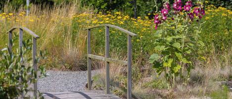 Un sendero de madera que lleva a una reja metálica en un jardín con diversas plantas y flores.