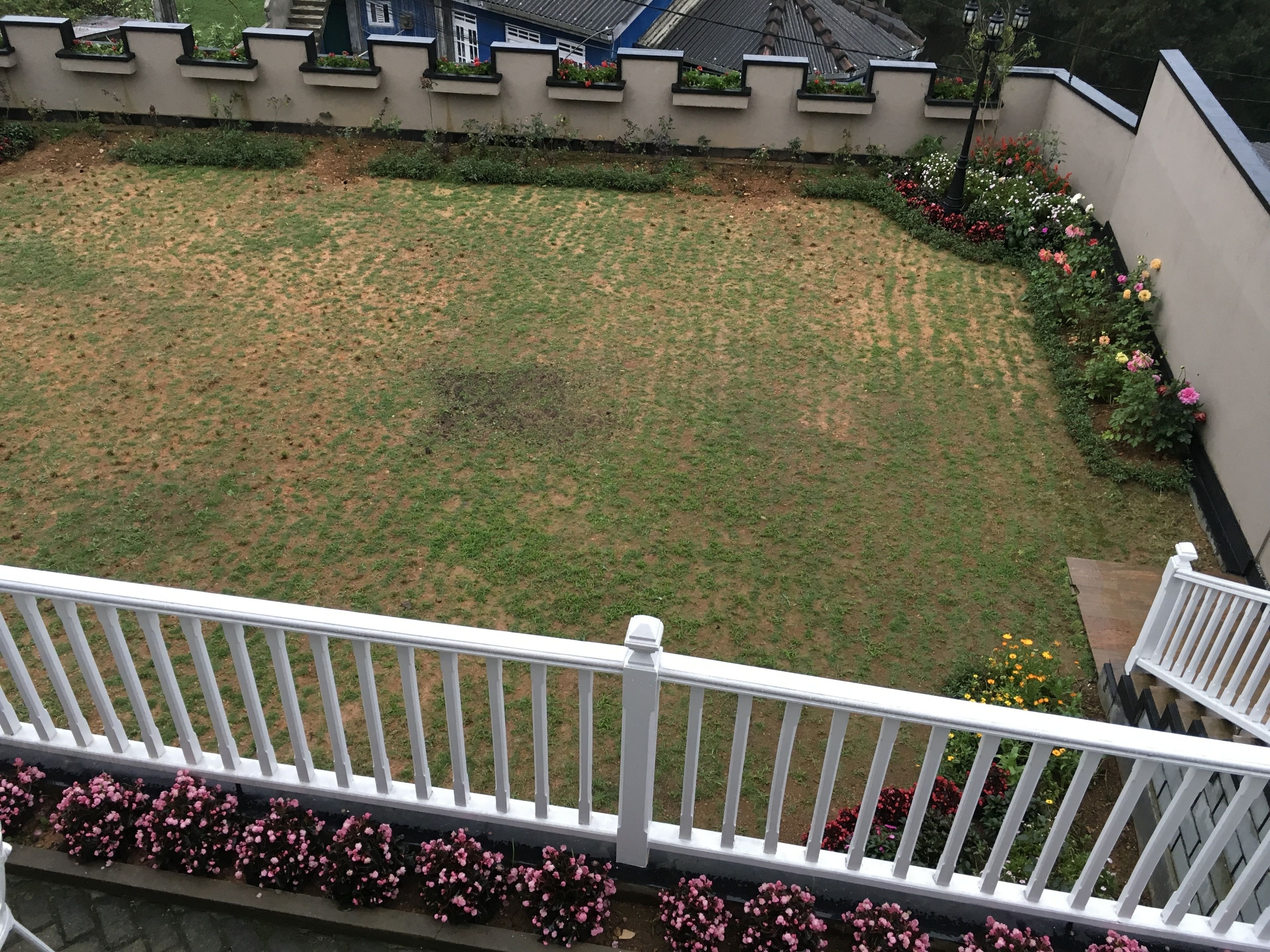 Udsigt fra en balkon over en have med græsplæne, blomsterbede og et hvidt gelænder.